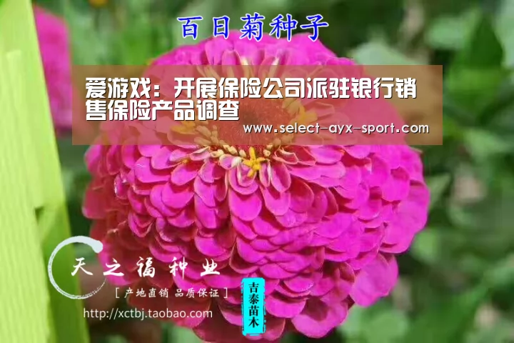 爱游戏:开展保险公司派驻银行销售保险产品调查(图1) 爱游戏官网