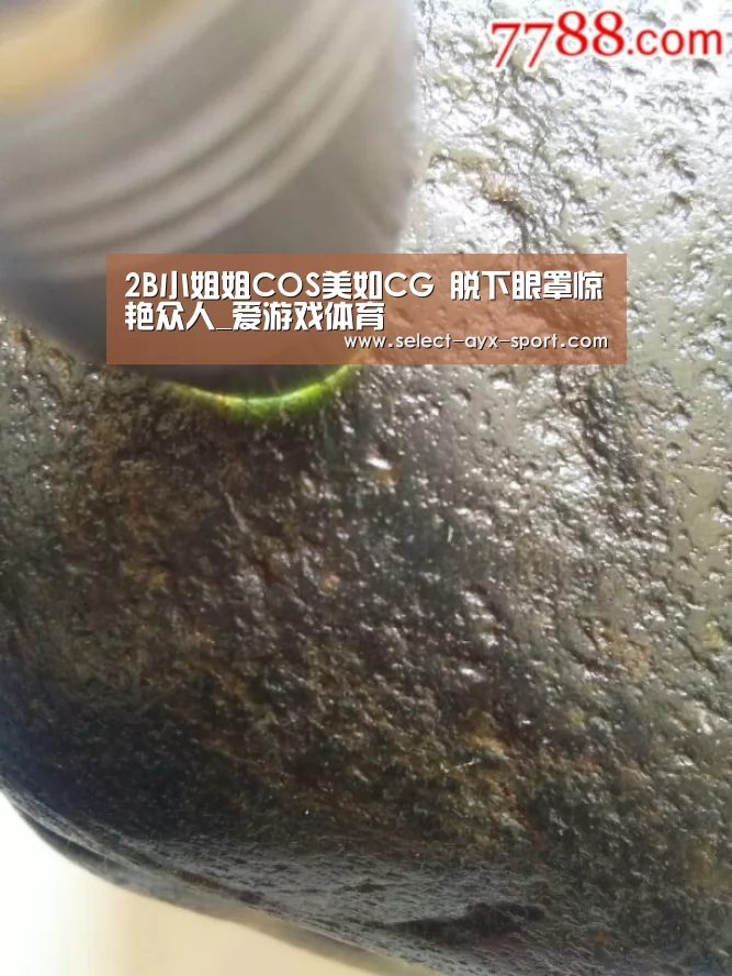 爱游戏体育