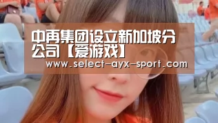 中再集团设立新加坡分公司【爱游戏】(图2) 爱游戏首页
