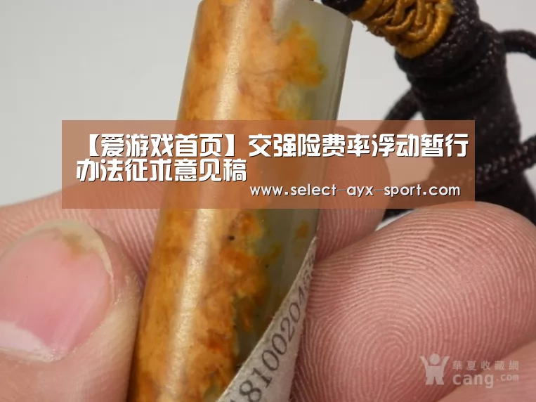 爱游戏官网