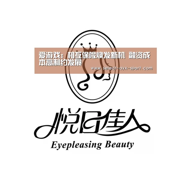 爱游戏:相互保险焕发新机 融资成本高制约发展(图3) 爱游戏