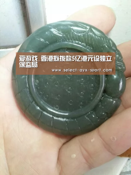 爱游戏_香港拟拨款5亿港元设独立保监局(图1) 爱游戏官网